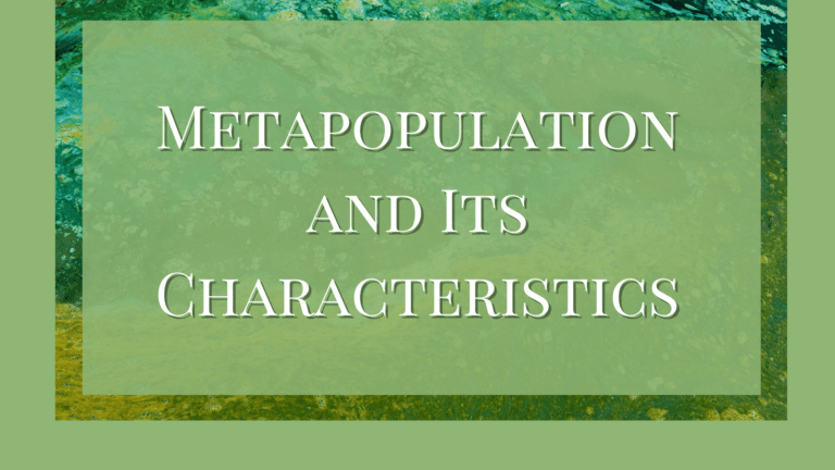 What is Metapopulation and Its Characteristics?