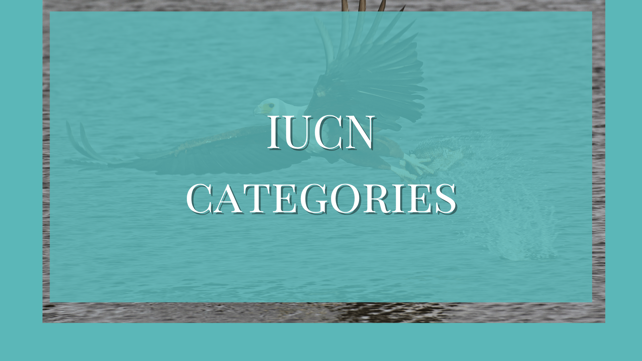 IUCN Categories and Red Data List