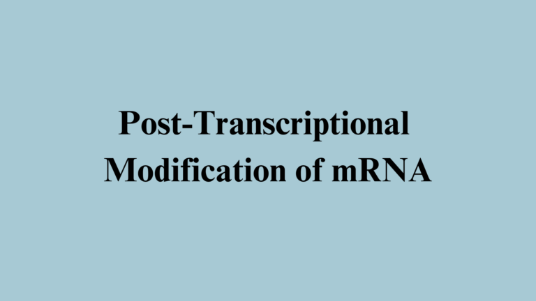 Post-Transcriptional Modification of mRNA
