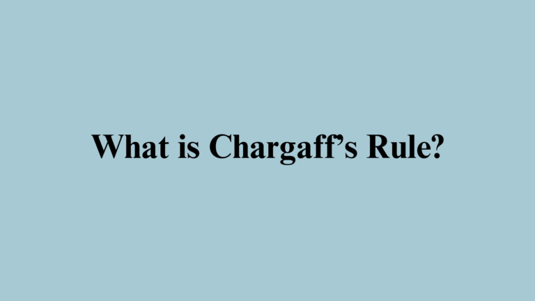 What is Chargaff’s Rule?