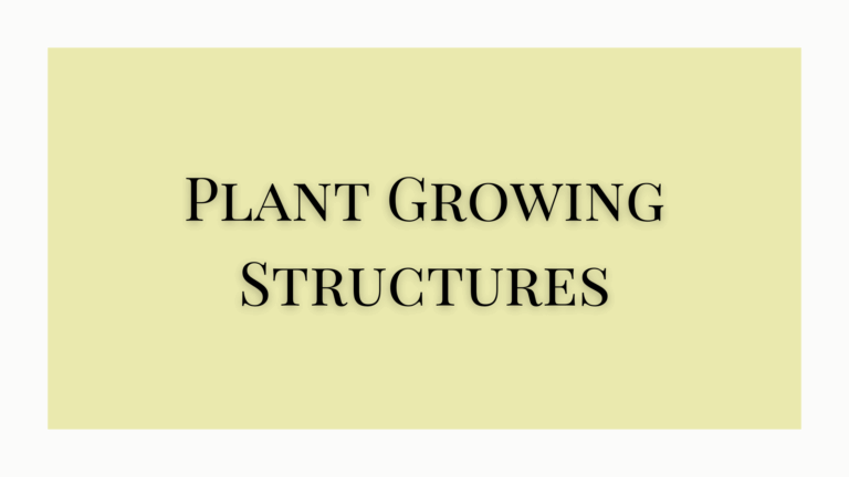 Plant Propagation Structures