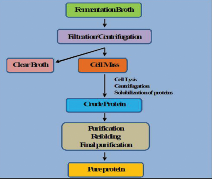 Class 12 Biotechnology Sample Paper 2022 Term II