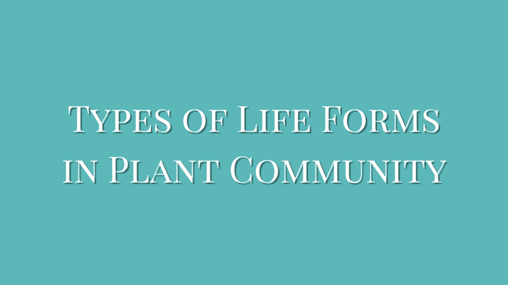 Types of Life Forms in Plant Community