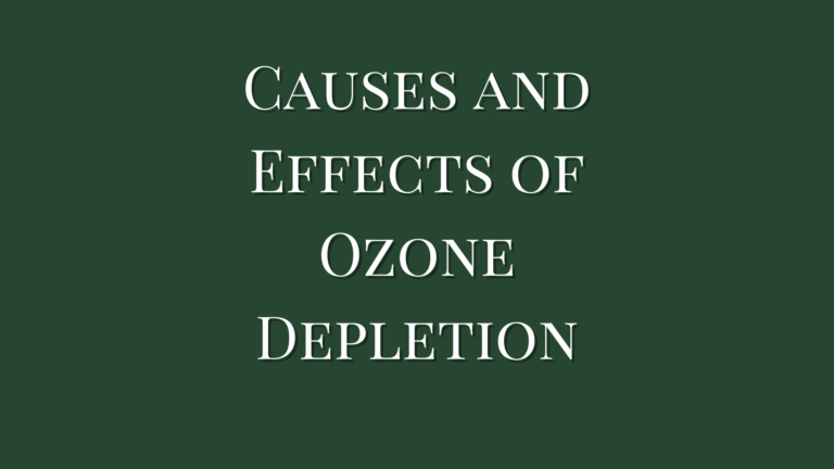 Causes and Effects of Ozone Depletion