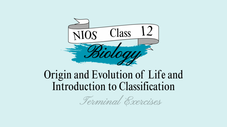 nios biology origin and evolution of life class 12