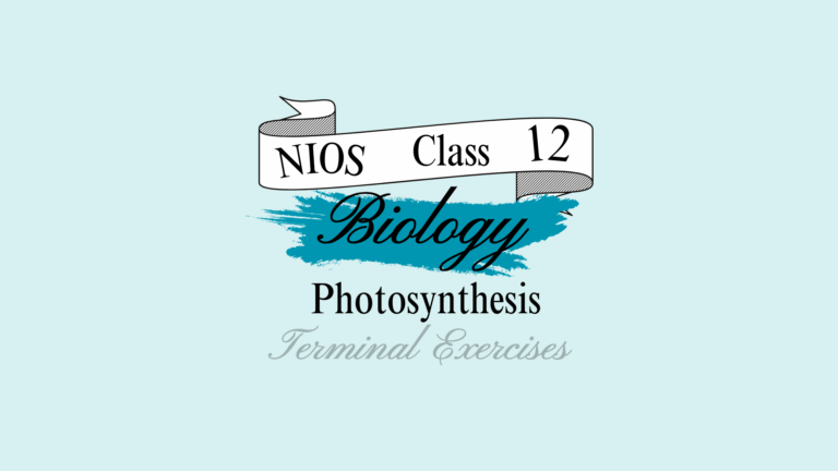 nios biology class 12 chapter 11 photosynthesis