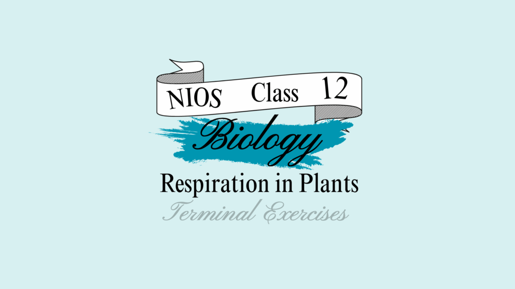 nios biology chapter 12 respiration in plants solutions