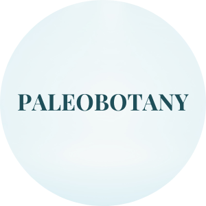 paleobotany