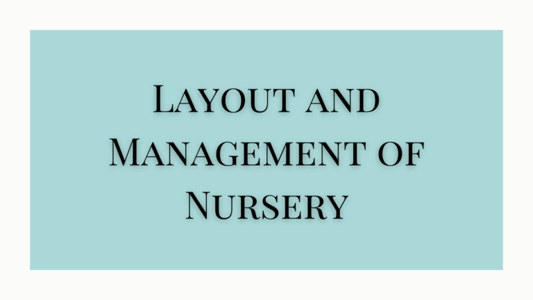 Nursery Layout and Its Management