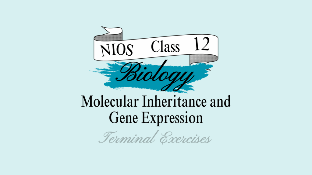 NIOS Biology Chapter 23 Solutions