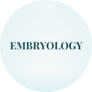 embryology