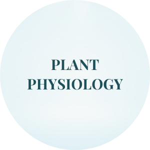 plant physiology