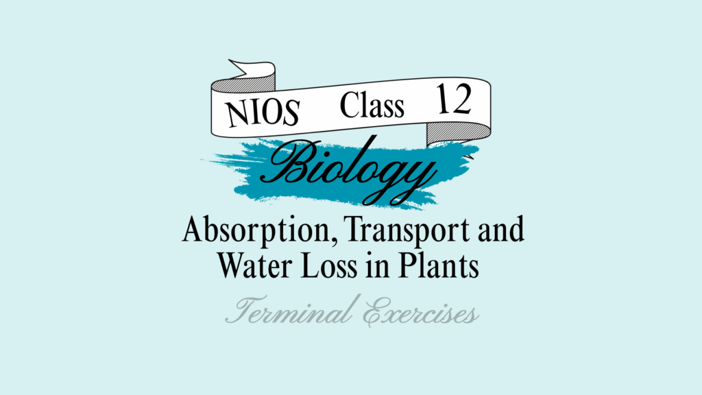 absorption transport and water loss in plants nios