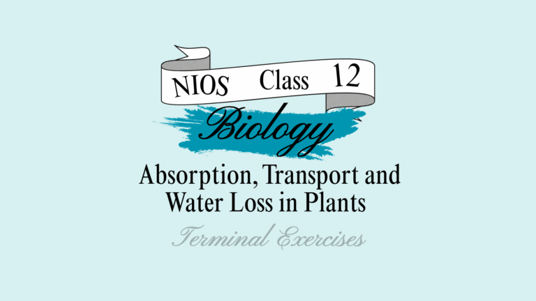 absorption transport and water loss in plants nios