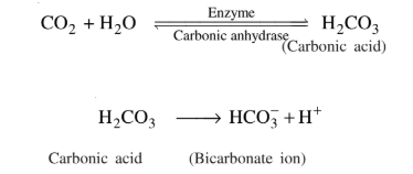 NIOS Class 12 Biology Chapter 14 Terminal Solutions