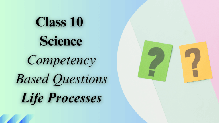 Class 10 Life Processes Competency-Based Questions