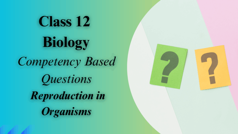 Competency-Based Questions Chapter 1