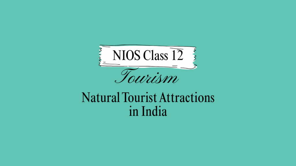 NIOS Class 12 Tourism Chapter 12 Solutions