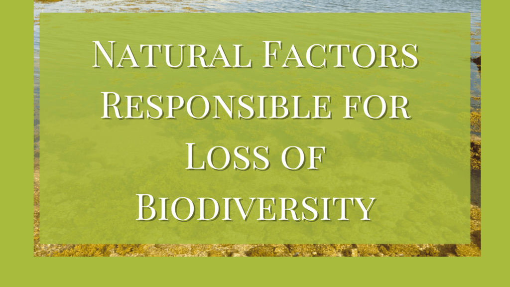 Explain The Causes for The Loss Of Biodiversity