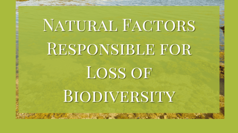 Explain The Causes for The Loss Of Biodiversity