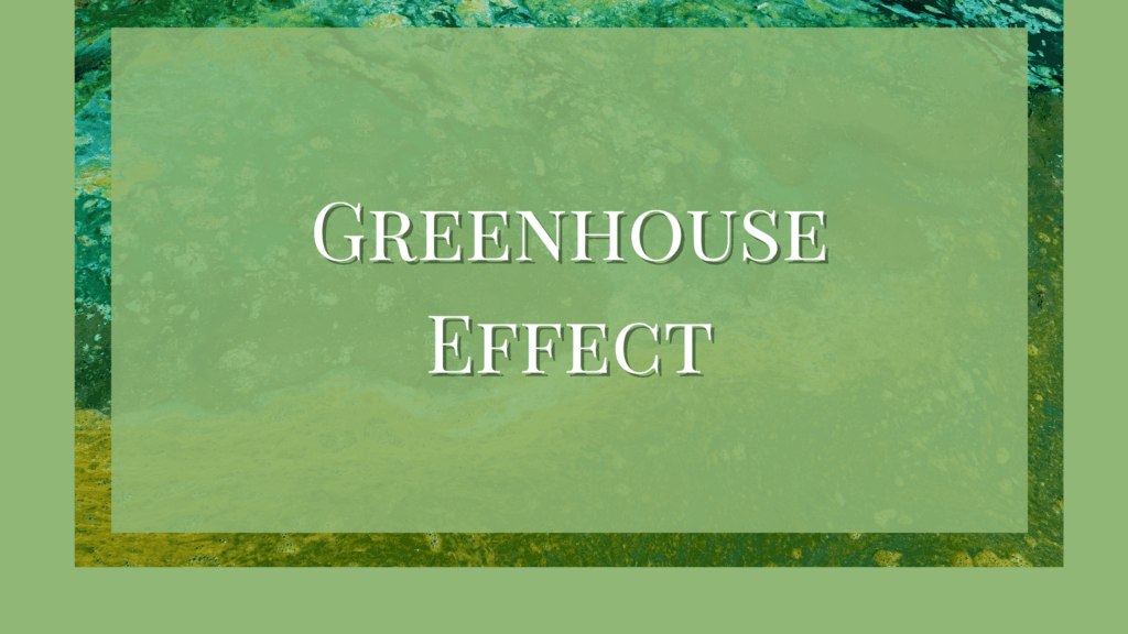 Describe the Greenhouse Effect