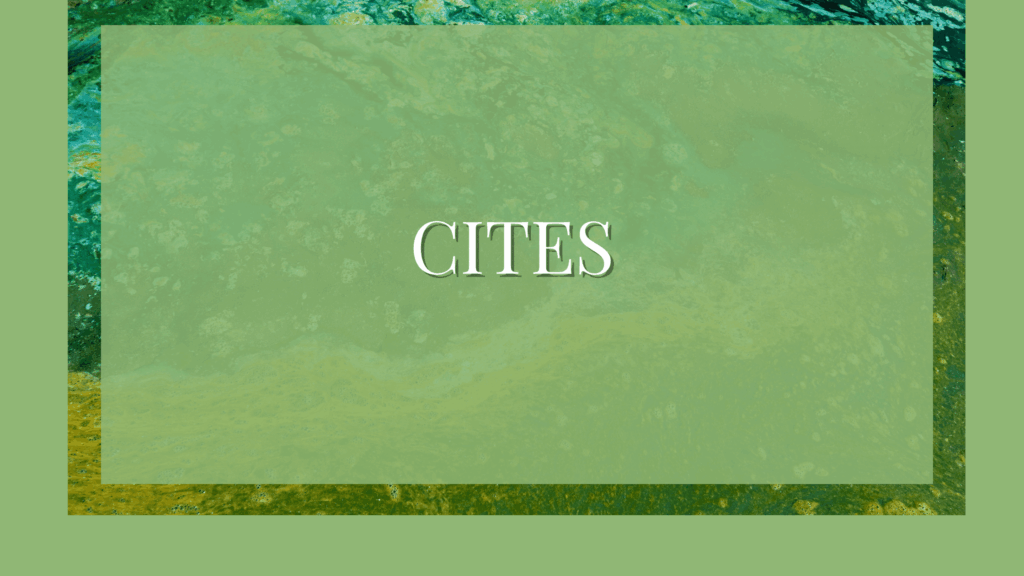 CITES