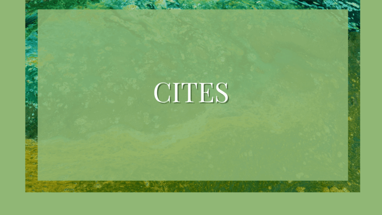 CITES