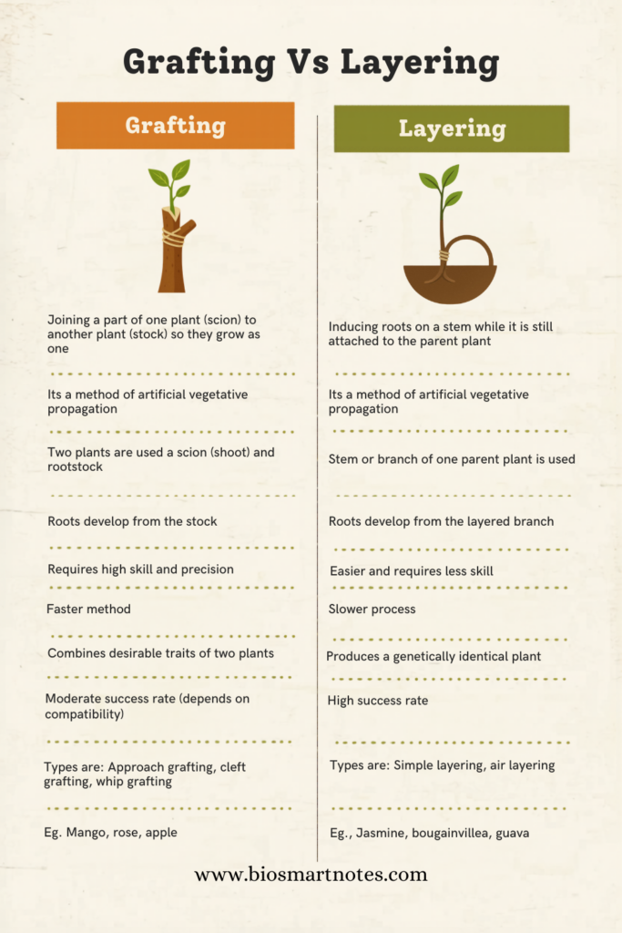 Grafting Vs Layering