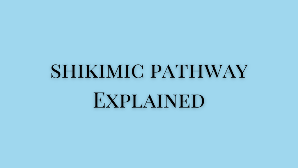 Shikimic Acid Pathway in Pharmacognosy
