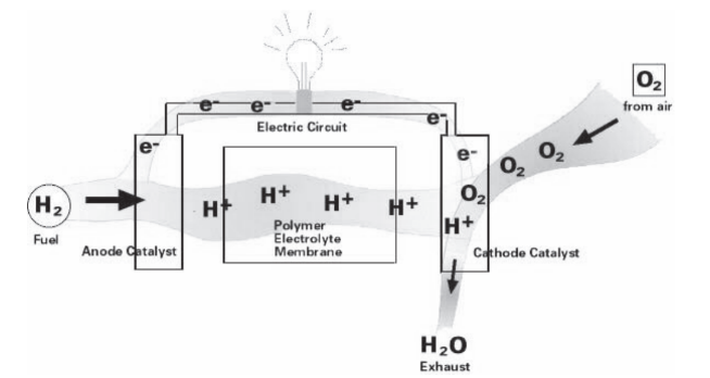 hydrogen fuel cell and its working