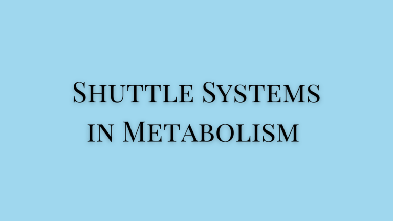 Shuttle Systems