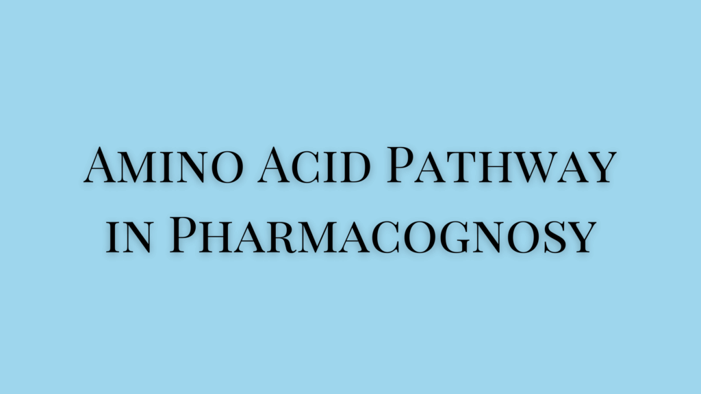 Amino Acid Pathway in Pharmacognosy