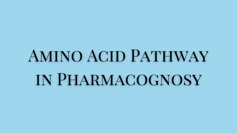 Amino Acid Pathway in Pharmacognosy